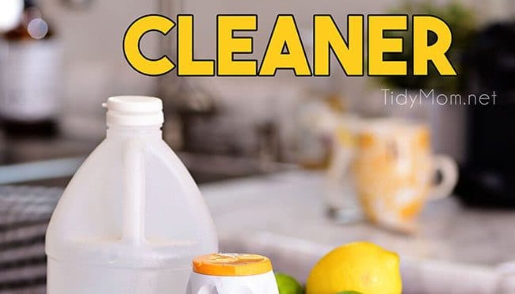what is the best homemade drain cleaner